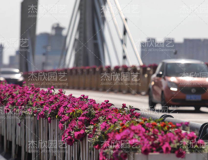 鋁合金創(chuàng)意花箱有哪些款式？